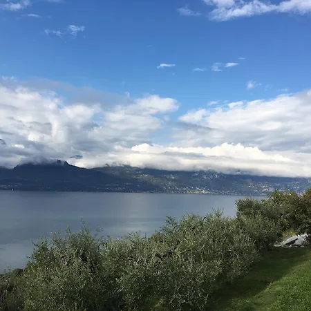 Vela Azzurra